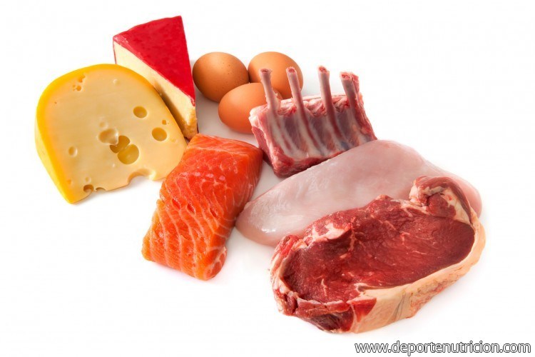 Nutrición básica: proteínas
